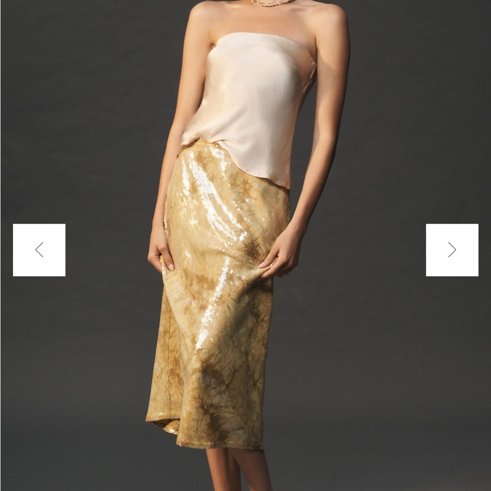 NWT Sequin Tilda Skirt Anthropologie Medium
